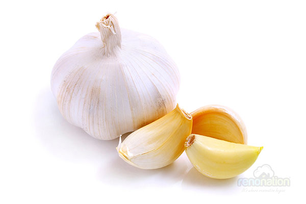 combat-dengue-garlic