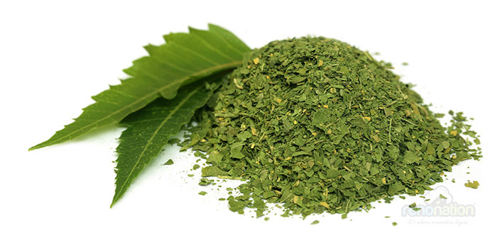 combat-dengue-neem